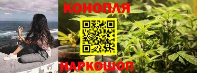 мяу мяу мука Свободный