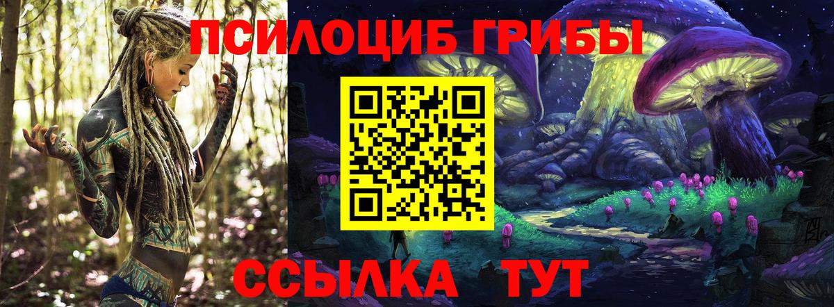 Пушкино  Псилоцибиновые грибы Psilocybe  Вход с VPN 
